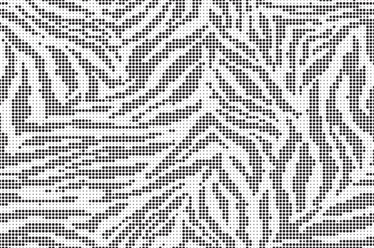 Fototapeta Halftone trendy zebra skin pattern background vector. Animal fur dotted vector background. Abstract seamless zebra stripe pattern.