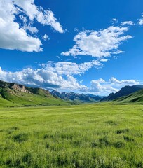 Obraz premium A vast green field with rolling hills and a blue sky with white clouds in the background.