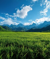 A lush green field of grass stretches out before a range of mountains under a bright blue sky.