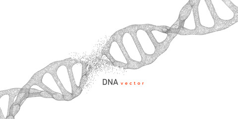 Destruction of human DNA. Biotechnology, biochemistry, genetics and medicine concept.Vector illustration .