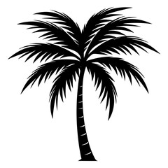Fototapeta premium palm tree silhouette