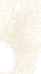 Fototapeta premium Detailed City Map of Poços de Caldas, Minas Gerais – Street and Area Layout on a white background