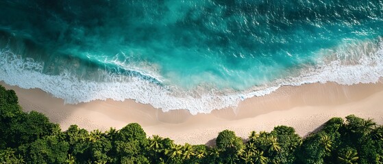 Fototapeta premium Aerial view of a scenic beach and ocean waves, top view of stunning coastal landscape with sandy shoreline and turquoise sea waters