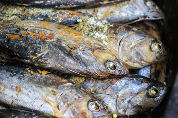 Cooked ( Pindang ) skipjack tuna