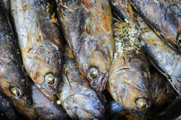 Fototapeta premium Cooked ( Pindang ) skipjack tuna