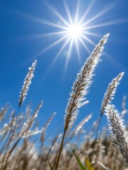 Gleaming sunshine bursting with energy, filling the sky with vibrant light and warmth on a beautiful day.