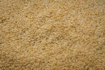 Toasted Rice Close Up