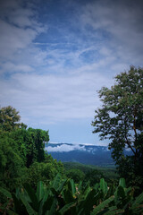Obraz premium A mountain range is visible in the distance with a cloudy sky