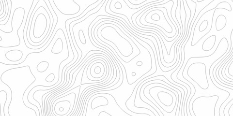 The stylize geometric topographic cartography  pattern with lines seamless topography map and counter map. abstract sea map area space geometric line technology topo landscape grid map texture.