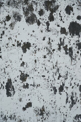 A close-up view of rough white surface with black patches.