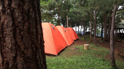 A group of orange tents at a campsite in the middle of a tropical forest.