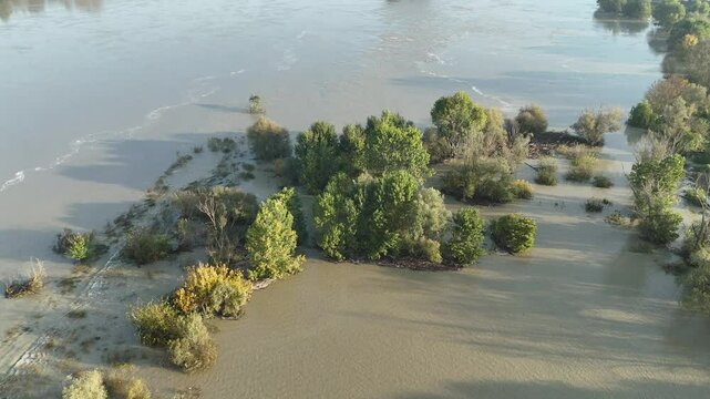 Aerial view of the po river flooding its banks, with surrounding trees partially submerged due to heavy rainfall. Castelvetro PC, Emilia Romagna, Italy October 21st 2024