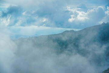 Obraz premium A mist-covered forested hillside with a few scattered trees under a partly cloudy sky.