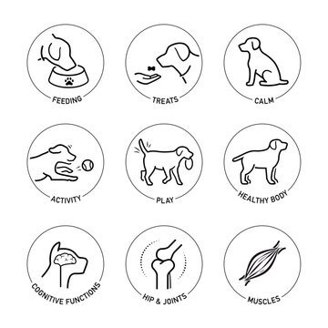 Dog care icon set. The outline icons are well scalable and editable. Contrasting elements are good for different backgrounds. EPS10.	