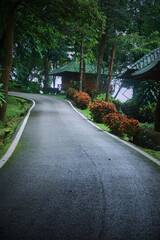 Obraz premium A quiet path through a lush green forest leading to a cabin.