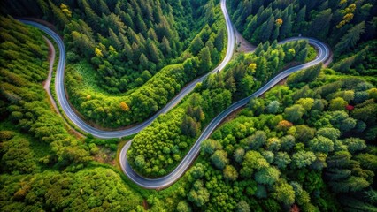 A dramatic aerial photograph of a serpentine mountain road winding through a lush forest , aerial, photograph