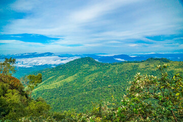 Obraz premium A lush green meadow with trees and mountains under a blue sky.