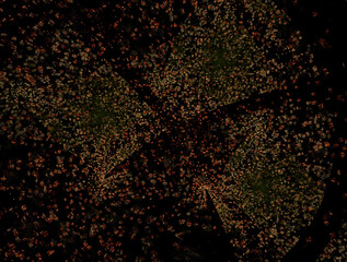 Imaginatory fractal abstract background Image