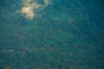 A lush green hillside with trees under a clear blue sky.