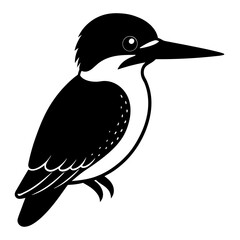 black and white kingfisher bird