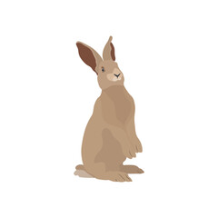ector illustration of rabbit in cartoon flat style. A cute little fluffy rabbit in different pose and color. Illustration of livestock or wild animal isolated on white background for icon, infograph