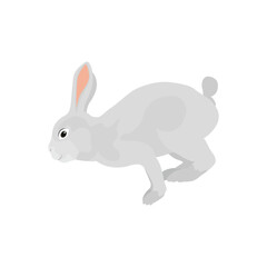 ector illustration of rabbit in cartoon flat style. A cute little fluffy rabbit in different pose and color. Illustration of livestock or wild animal isolated on white background for icon, infograph