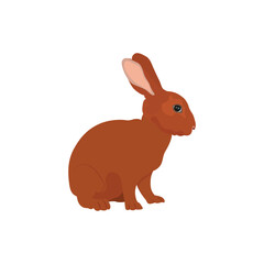 ector illustration of rabbit in cartoon flat style. A cute little fluffy rabbit in different pose and color. Illustration of livestock or wild animal isolated on white background for icon, infograph