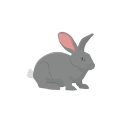 Obraz premium ector illustration of rabbit in cartoon flat style. A cute little fluffy rabbit in different pose and color. Illustration of livestock or wild animal isolated on white background for icon, infograph