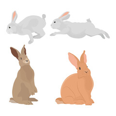 Fototapeta premium Vector illustration set of rabbit in cartoon flat style. A cute little fluffy rabbit in different pose and color. Illustration of livestock or wild animal isolated on white background for icon,