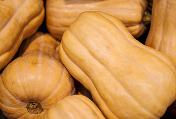 Close up Butternut squashes,Pumpkins background 