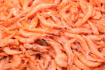 Shrimps at the fish stall in the Mercado Central de Atarazanas in the old town of Malaga, Andalusia, Spain   