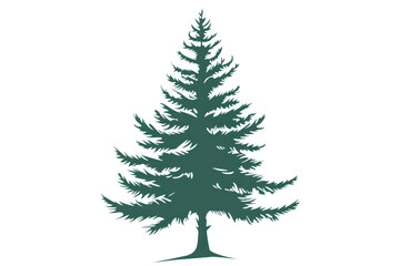 Obraz premium Vector illustration of a green pine tree with detailed branches, perfect for nature-themed designs and winter holiday projects.