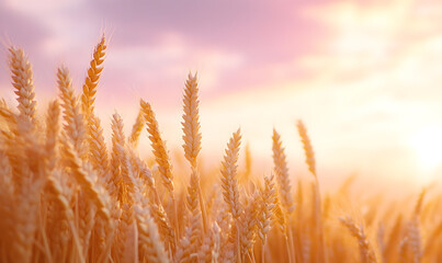 Fototapeta premium Spectacular Nature and Scenic Wonders: Golden Hour Sunsets, Lush Forests, Tranquil Beaches, and Vibrant Fields of Flowers in Stunning Views