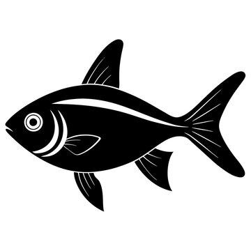 recommend clip art: bloodfin  tetra fish on white 