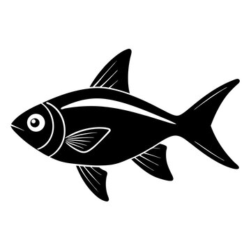 recommend clip art: bloodfin  tetra fish on white 
