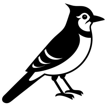 recommend clip art: Blue jay is a passerine bird in the family Corvidae. Blue Bird silhouette  flat style character of ornithology, vector illustration isolated on white
                    
