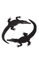 Obraz premium Alligators silhouette isolated in White background