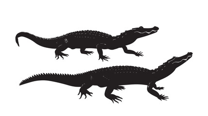 Obraz premium Alligators silhouette isolated in White background