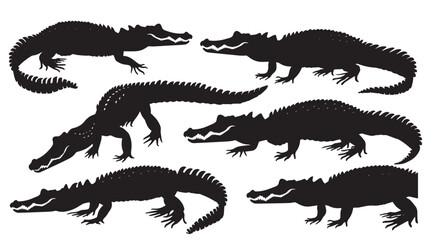 Obraz premium Alligators silhouette isolated in White background