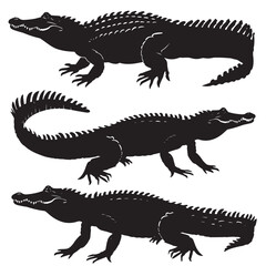 Fototapeta premium Alligators silhouette isolated in White background