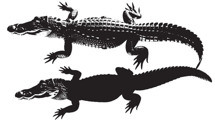 Fototapeta premium Alligators silhouette isolated in White background