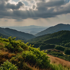A picturesque view of Soni Kougen Plateau in Japan showcases rolling green hills, dotted with vibrant wildflowers.