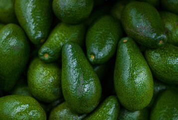 Fresh Avocado, group of avocados background