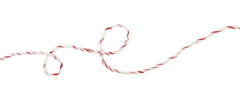 Curled white and red Christmas wrapping rope in a line arrangement isolated on white or transparent background