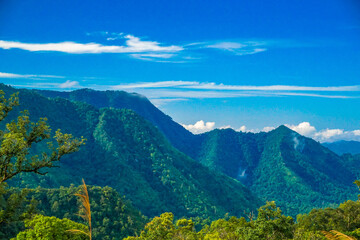 Fototapeta premium A lush green meadow with trees and mountains under a blue sky.
