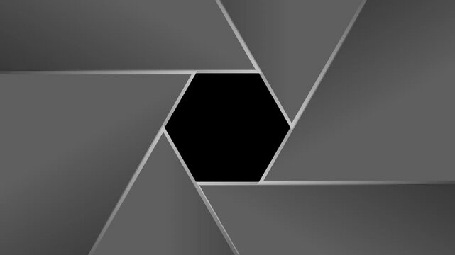 カメラのシャッターを切る動画素材,背景透過