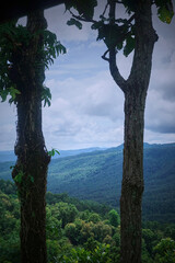 Obraz premium A stunning view of verdant mountains under a cloudy sky.