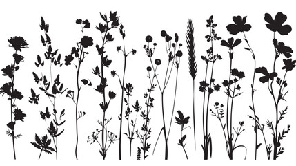 Big floral collections of black silhouettes of meadow herbs