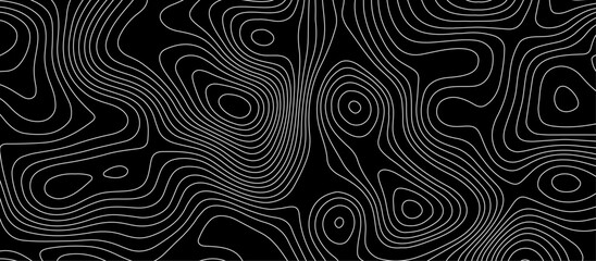 Fototapeta premium Abstract white wave paper curved reliefs background design. The black on white contours topography stylized relief diagram line wave carve pattern background.