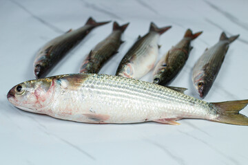 Raw mullet fishes on a marble kitchen counter.
